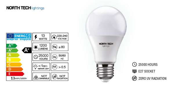 NT-A13W